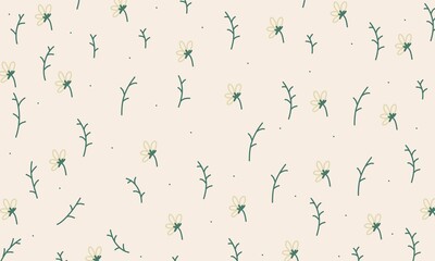 Hand drawn daisy botanical flowers background illustration