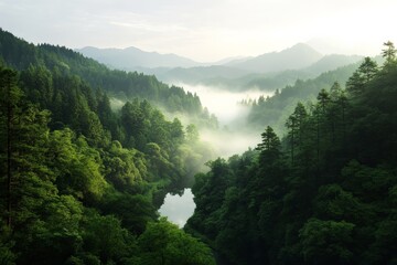 Misty forest landscape with river and mountains at dawn in serene natural setting