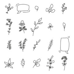 Doodle Vector Set Floral, Frame