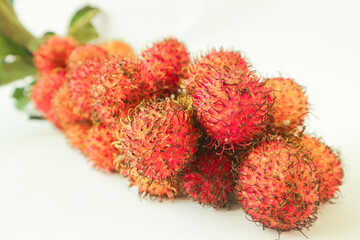 Rambutan taxonomic name: Nephelium lappaceum is a medium-sized tropical tree in the Sapindaceae family.