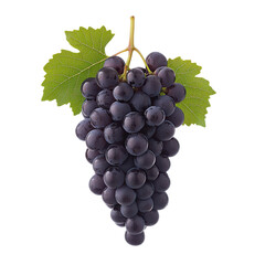 Fototapeta premium Bunch of fresh black grapes on a white isolated background.