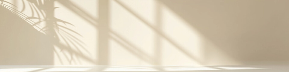 white background plant shadows on wall light beige minimalist stage design