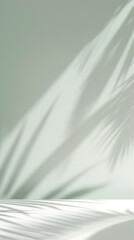 white background light green gradient empty tabletop palm leaf shadows wall
