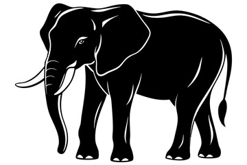 Fototapeta premium elephant vector illustration