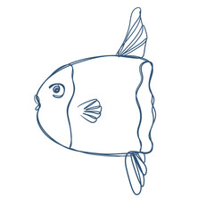 sunfish line art 