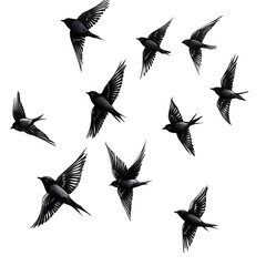 Fototapeta premium Flying birds silhouettes on white background. Vector illustration. isolated bird flying. tattoo design
