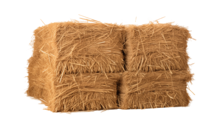 High Quality Coir Fiber Bales for Horticultural and Agricultural Applications