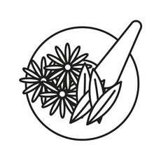 Healing medicinal plants used in natural remedies