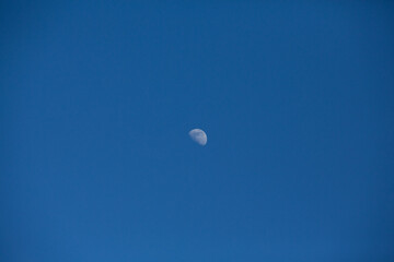 lune