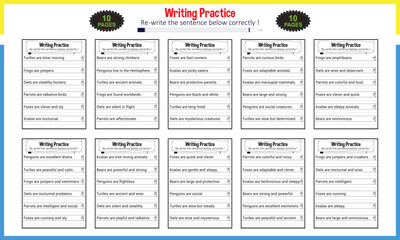 Learn practice sentence for homework