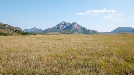 Fototapeta premium Grassy plains stretch toward a distant mountain range under a clear blue sky during a bright sunny day.