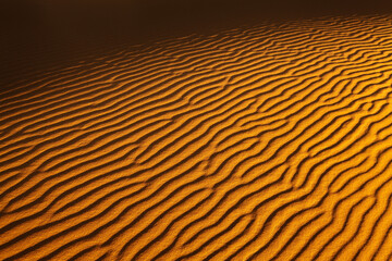 Sand dune background