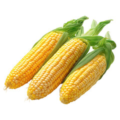 Baby Corn isolated on transparent background