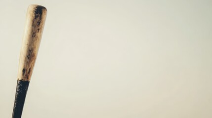 P of old baseball bat fragment