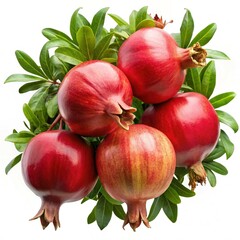 Cluster of pomegranates on a branch isolated on white background-A cluster of ripe pomegranates hanging from a branch with green leaves, showcasing their bright red color and freshness.