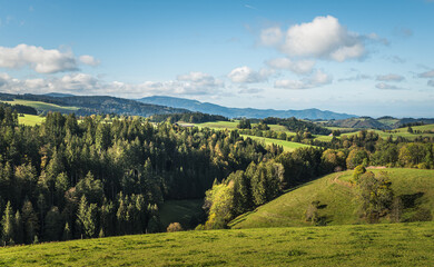 Fototapeta premium Hilly, wooded landscape in the Black Forest, St. Maergen, Baden-Wuerttemberg, Germany