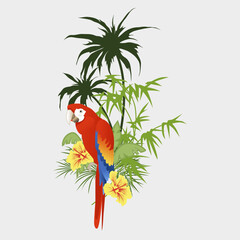 tropical vector illustration ...