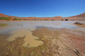 Wasser im Sossusvlei in der Namib