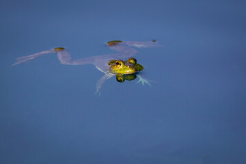 Terry Nunn Nature Wildlife Landscape Photography © TerryNunnPhotograpy