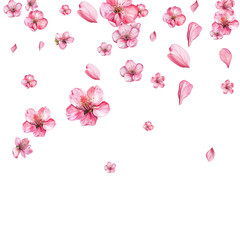 pink flowers and butterflies