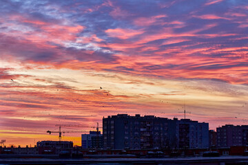 the charms of spring