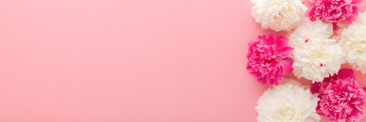 Fresh beautiful soft white pink peony flower heads on light pink table background. Pastel color. Closeup. Empty place for inspirational text, lovely quote or sayings. Wide banner. Top down view. © fotoduets