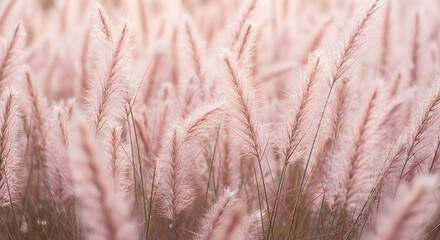 Fototapeta premium [Generative AI] 배경 background