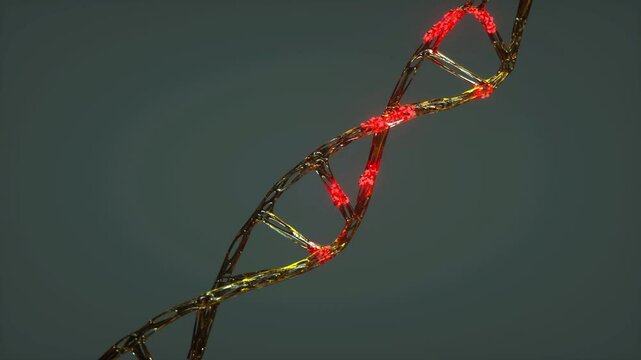 DNA