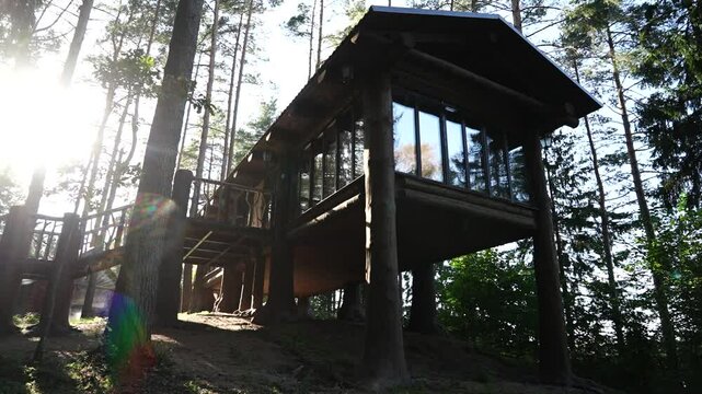 Russian-style wooden hut in the forest with stairs