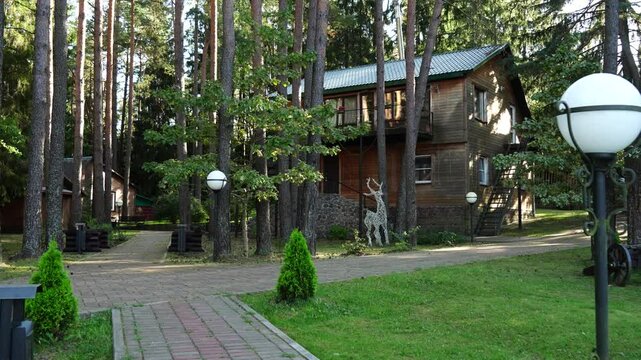 Wooden house in a tranquil pine forest, with balcony, terrace, and lush lawn. Surrounded by tall trees