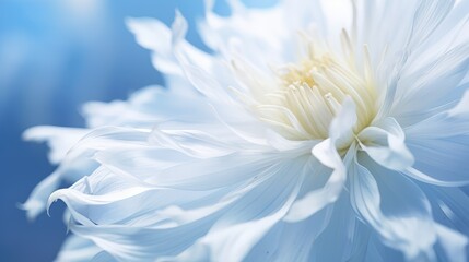 close blue white silver