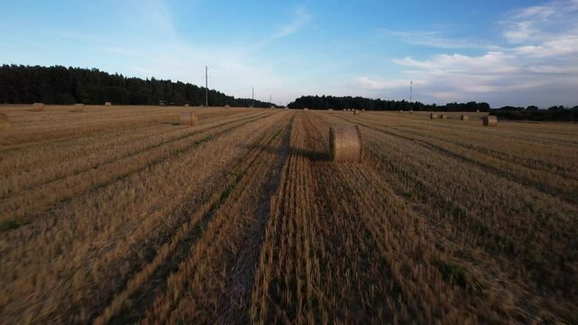 An aerial view of agricultural fields