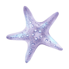 Blue five pointed starfish. Ocean mollusk. Watercolor and marker illustration. Hand drawn isolated art. Marine theme of the underwater world. Shell drawing for children's greeting cards, invitations