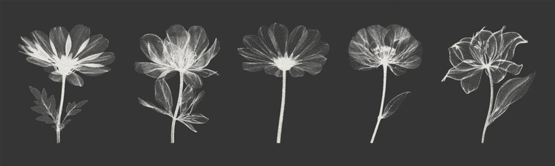 Color elements with X-ray effect, for grunge punk y2k collage design. Texture in the form of vector points. Vector.
