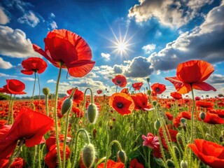 Obraz premium Sun-drenched red poppies sway in a panoramic field, vibrant blooms painting a summer landscape.