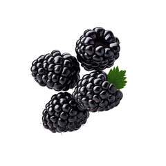 Fresh blackberries with green leaves, white isolated background.