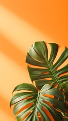 Vibrant Monstera Leaves on a Sunny Orange Background Tropical Summer Foliage