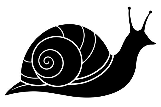 recommend clip art: Snail silhouette vector art illustration, graphic design, isolated icon, snail clipart