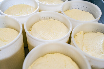 The Process of Making Fresh White Soft Whey Ricotta Cheese. Selected focus