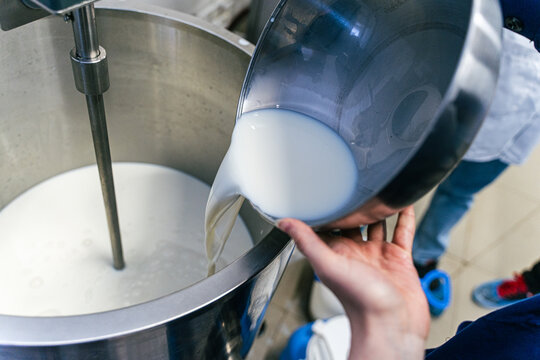 Milk is poured into a container for making ricotta cheese, mozzarella. Selected Focus