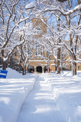 北海道大学