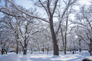 北海道大学