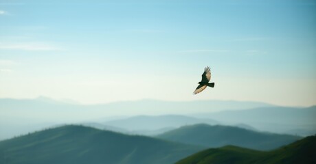Fototapeta premium Silhouette of a bird soaring over rolling green hills with distant misty mountains. Expansive sky with soft clouds enhances the sense of freedom and peaceful flight