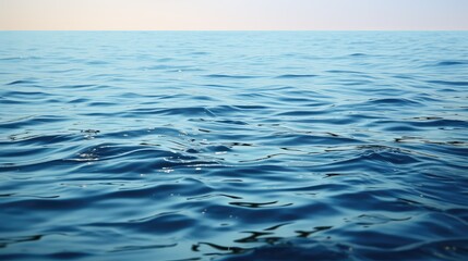 recipe black bean tacos