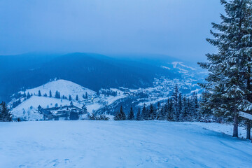 Landscapes - Forest - Europe, Romania, Suceava region
