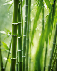 Obraz premium bamboo branches, green bamboo, bamboo leaves, natural bamboo, bamboo forest, green nature, tropical plants, lush greenery, bamboo stalks, zen garden, Asian aesthetic, exotic plants, eco-friendly, peac