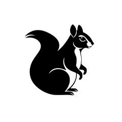Black and White Squirrel, standing in a bold, graphical way, ready for action. © MatandSterre