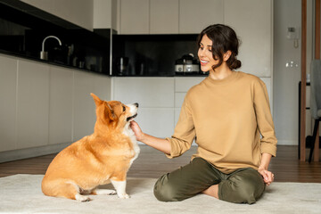 Portrait of young Latin beautiful student brunette woman playing happy with her corgi dog sitting...