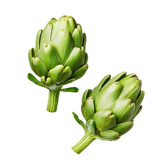 Obraz premium Fresh green artichokes isolated on white background.