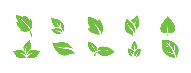Green leaf icons set. Leaves icon on isolated background. Collection green leaf. Elements design for natural, eco, vegan, bio labels. Vector illustration EPS 10